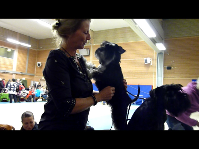 video