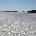 Östersjön är helt täckt med is.